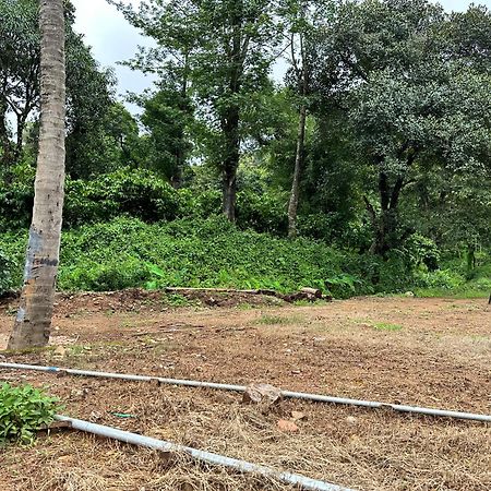 Sherlock Jungle Retreat Srimangala Exterior photo
