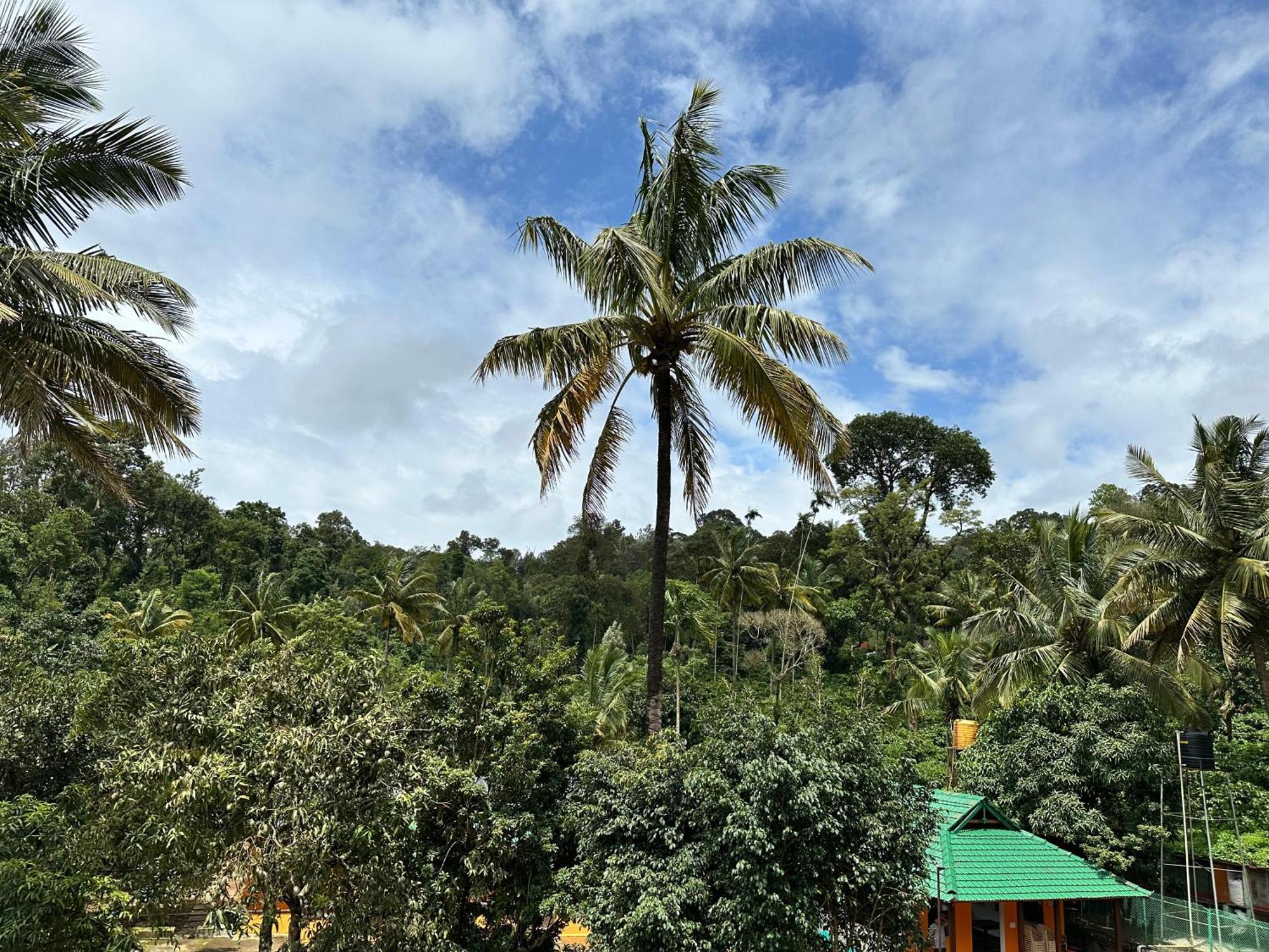 Sherlock Jungle Retreat Srimangala Exterior photo