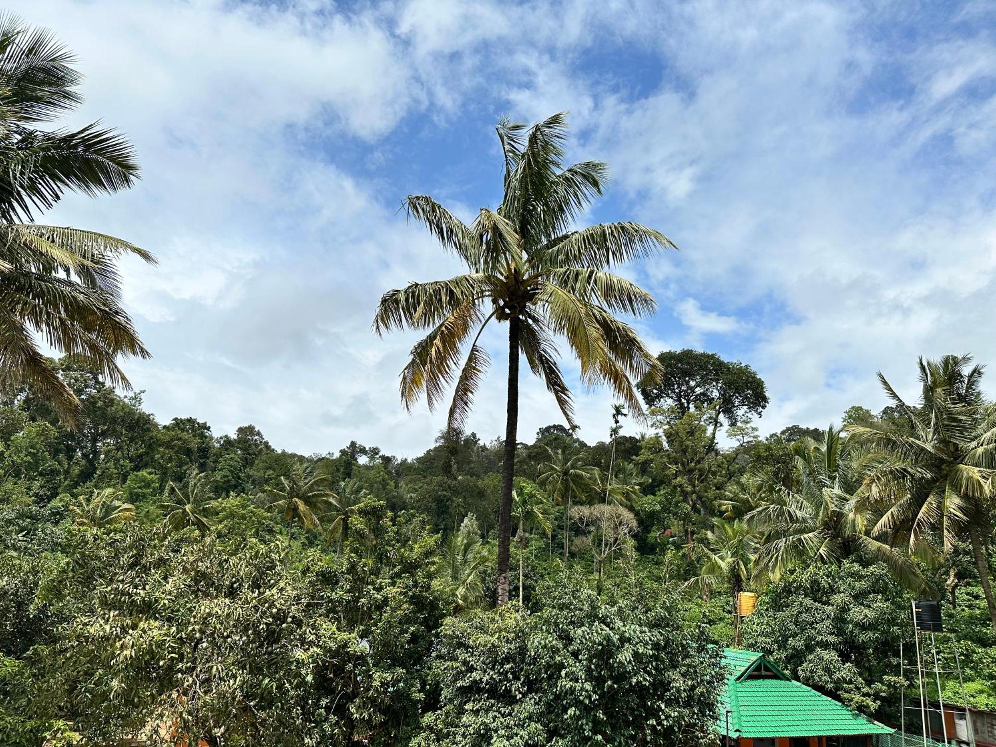 Sherlock Jungle Retreat Srimangala Exterior photo