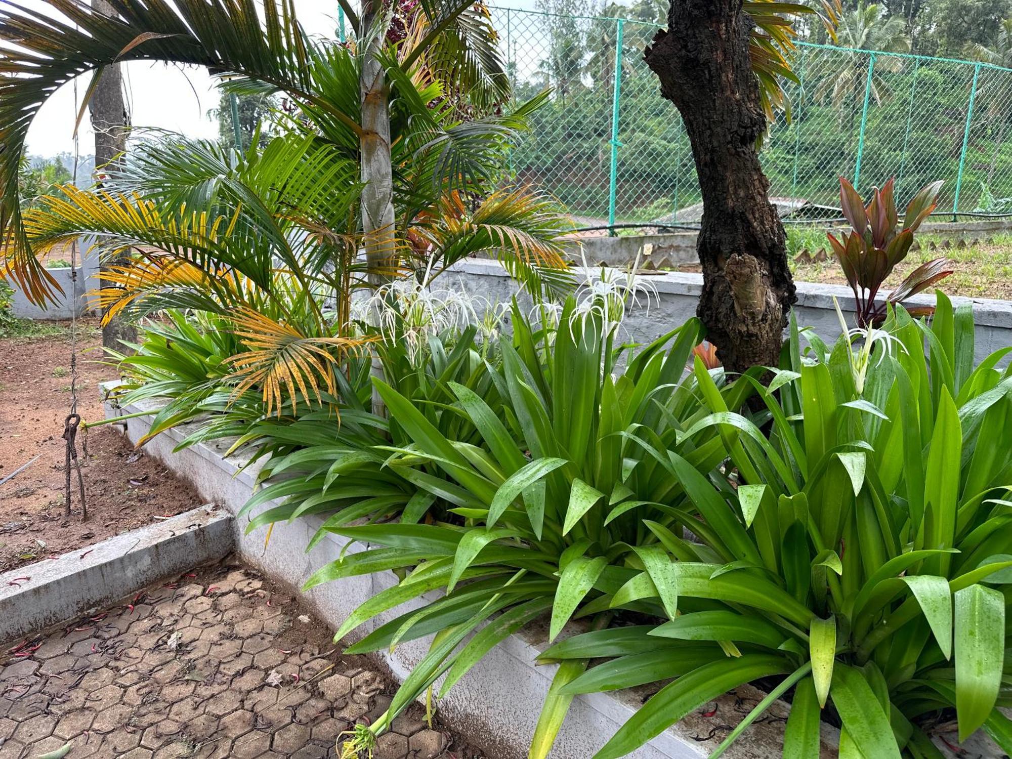 Sherlock Jungle Retreat Srimangala Exterior photo