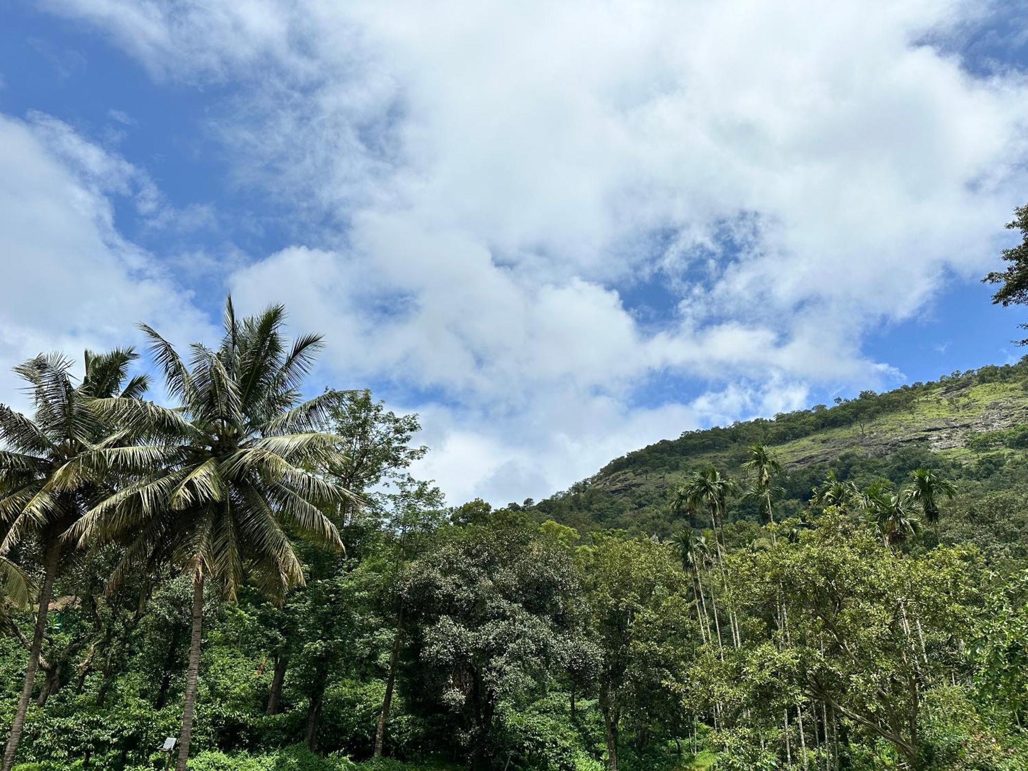 Sherlock Jungle Retreat Srimangala Exterior photo