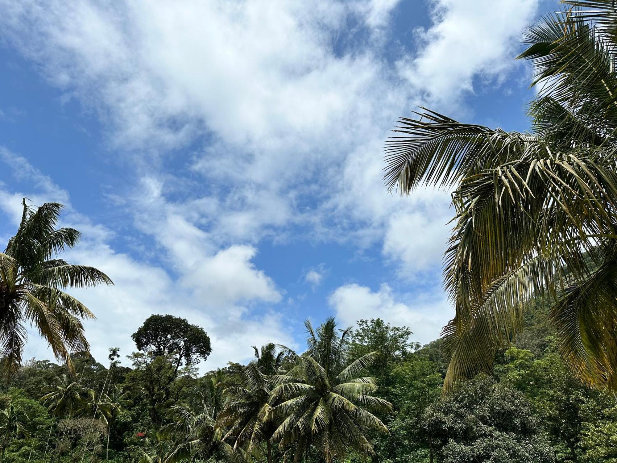 Sherlock Jungle Retreat Srimangala Exterior photo