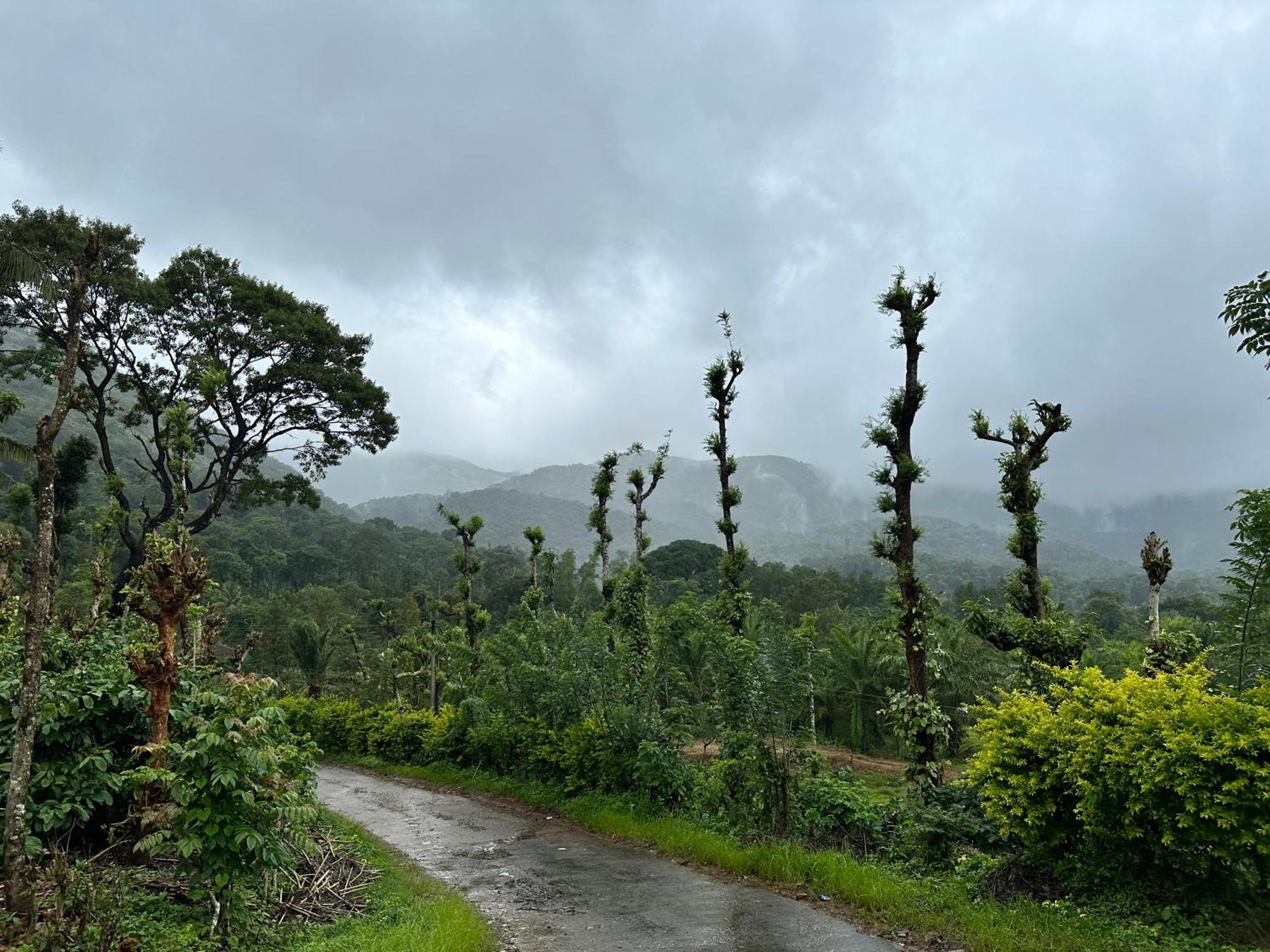 Sherlock Jungle Retreat Srimangala Exterior photo
