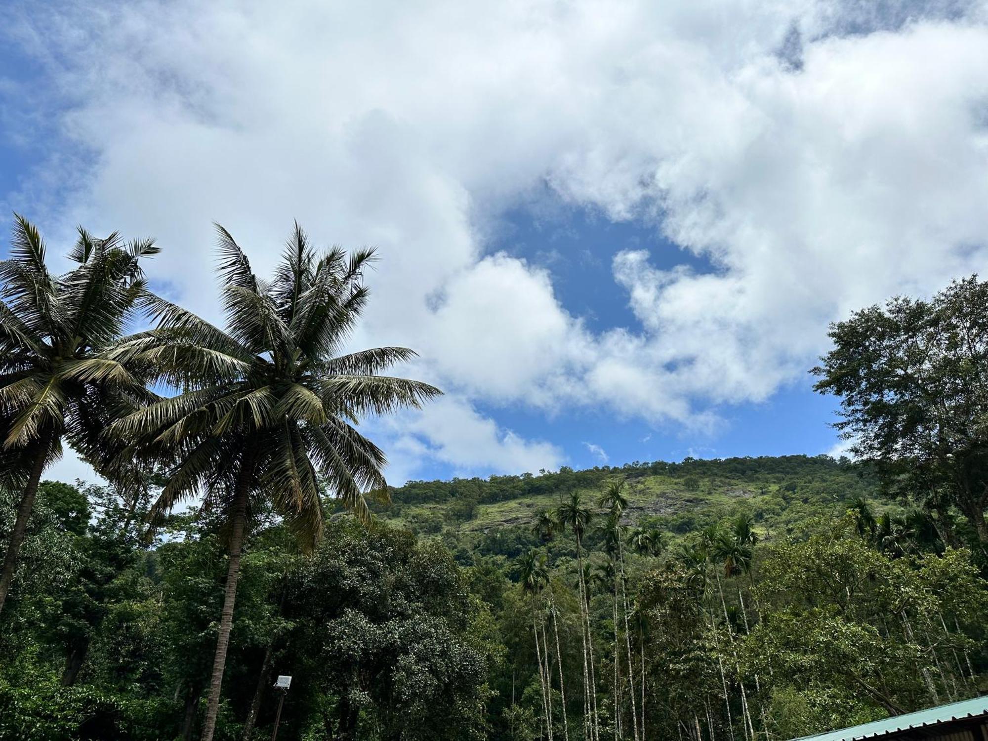 Sherlock Jungle Retreat Srimangala Exterior photo